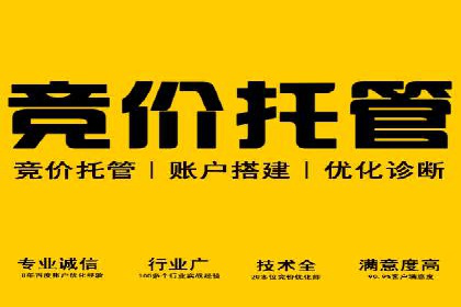 搜索引擎营销（SEM）的精准投放技巧案例
